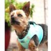 American River Choke Free Dog Harness Ombre Collection - Aruba Blue