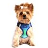 American River Choke Free Dog Harness Ombre Collection - Northern Lights