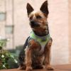 American River Choke Free Dog Harness Ombre Collection - Limestone Gray