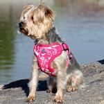 Wrap and Snap Choke Free Dog Harness by Doggie Design - Pink Hibiscus (Option: Large)