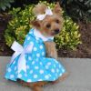 Blue Polka Dot Dog Dress with Matching Leash