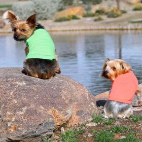 Cotton Dog Tank - Green Flash (Option: X-Small)