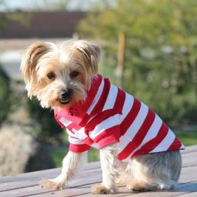 Striped Dog Polo - Flame Scarlet Red and White (Option: Small)