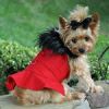 Wool Fur-Trimmed Dog Harness Coat - Red