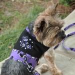 Halloween Dog Harness - Too Cute To Spook (Option: X-Small)