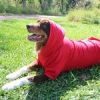 Flex-Fit Dog Hoodie - Red