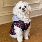 Weekender Dog Sweatshirt Hoodie - Red & Black Plaid Flannel (Option: X-Large)