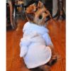 White Silver Tiara Cotton Dog Bathrobe by Doggie Design