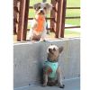 American River Solid Ultra Choke Free Dog Harness - Teal