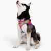 American River Choke Free Dog Harness Ombre Collection - Cotton Candy