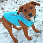 Weekender Dog Sweatshirt Hoodie - Light Blue (Option: X-Large)