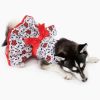 Holiday Dog Harness Dress - Holly