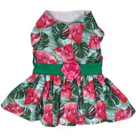 Juicy Watermelon Dog Dress with Matching Leash (Option: X-Small)