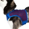 Active Mesh Dog Harness with Leash - Blue & Red