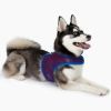 Active Mesh Dog Harness with Leash - Blue & Red